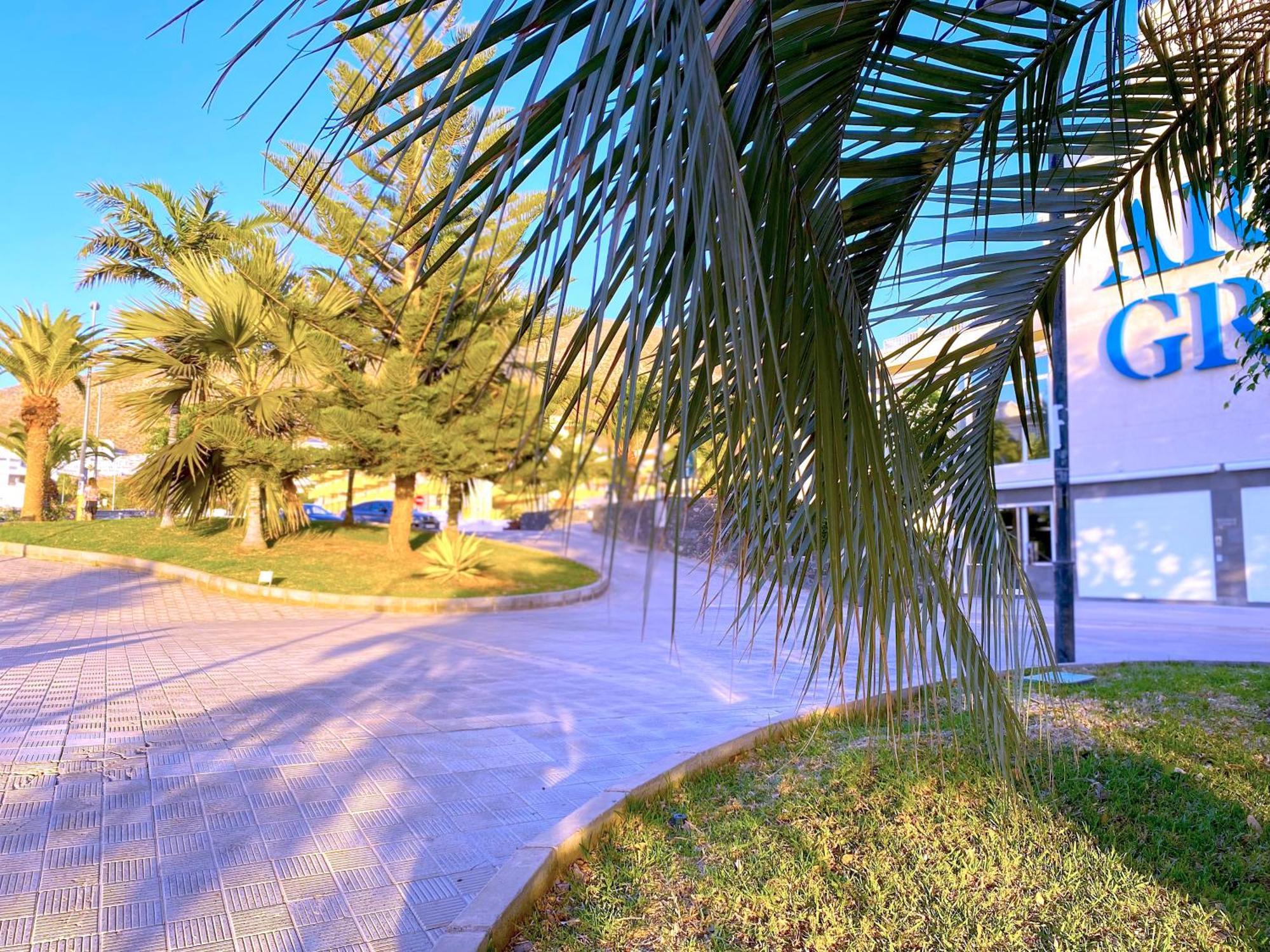 Tropicalidays Cristianos Angel Apartment Los Cristianos  Exterior photo